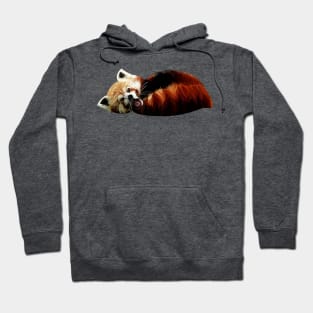 Cute Red Panda Curled Up Hoodie